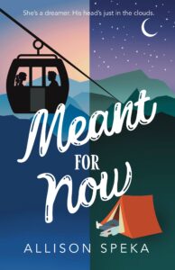 book cover: Meant for Now, by Allison Speka