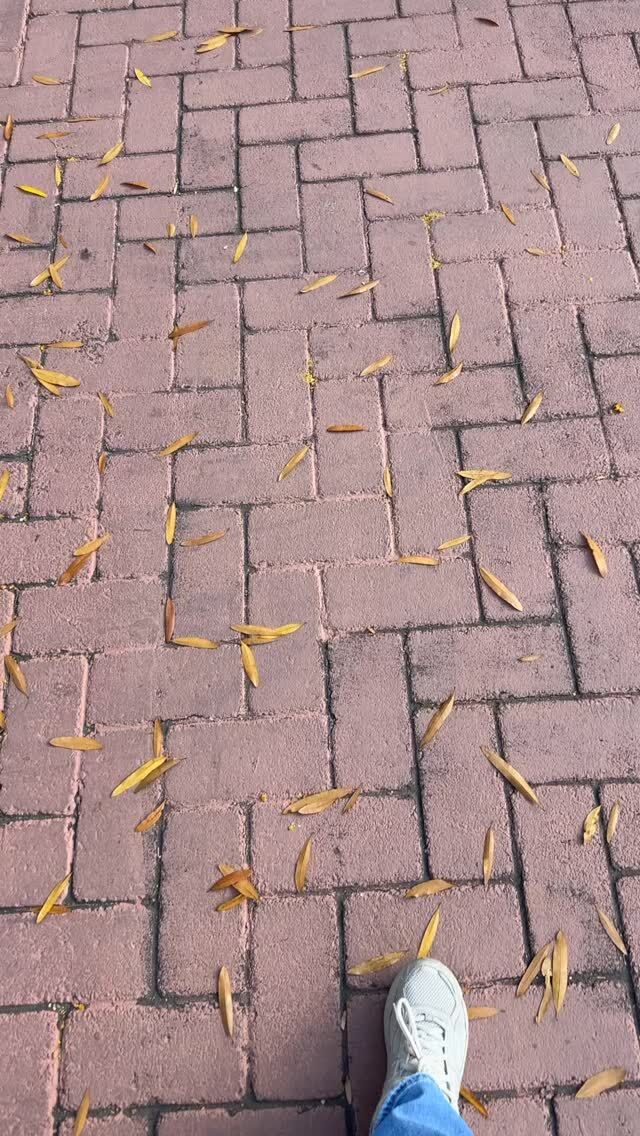 What am I doing wrong 😩😩

#bookstagram #lovelitcon